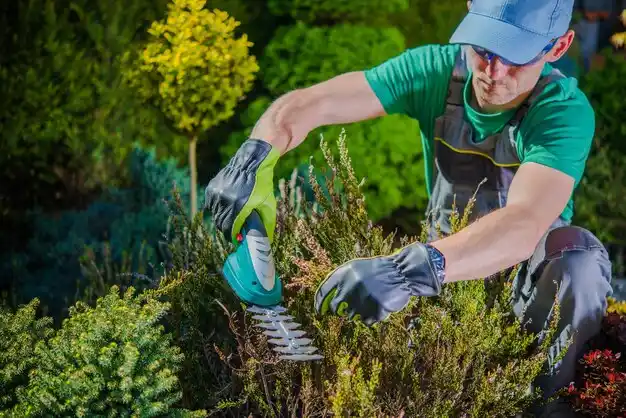 landscaping services Marysville